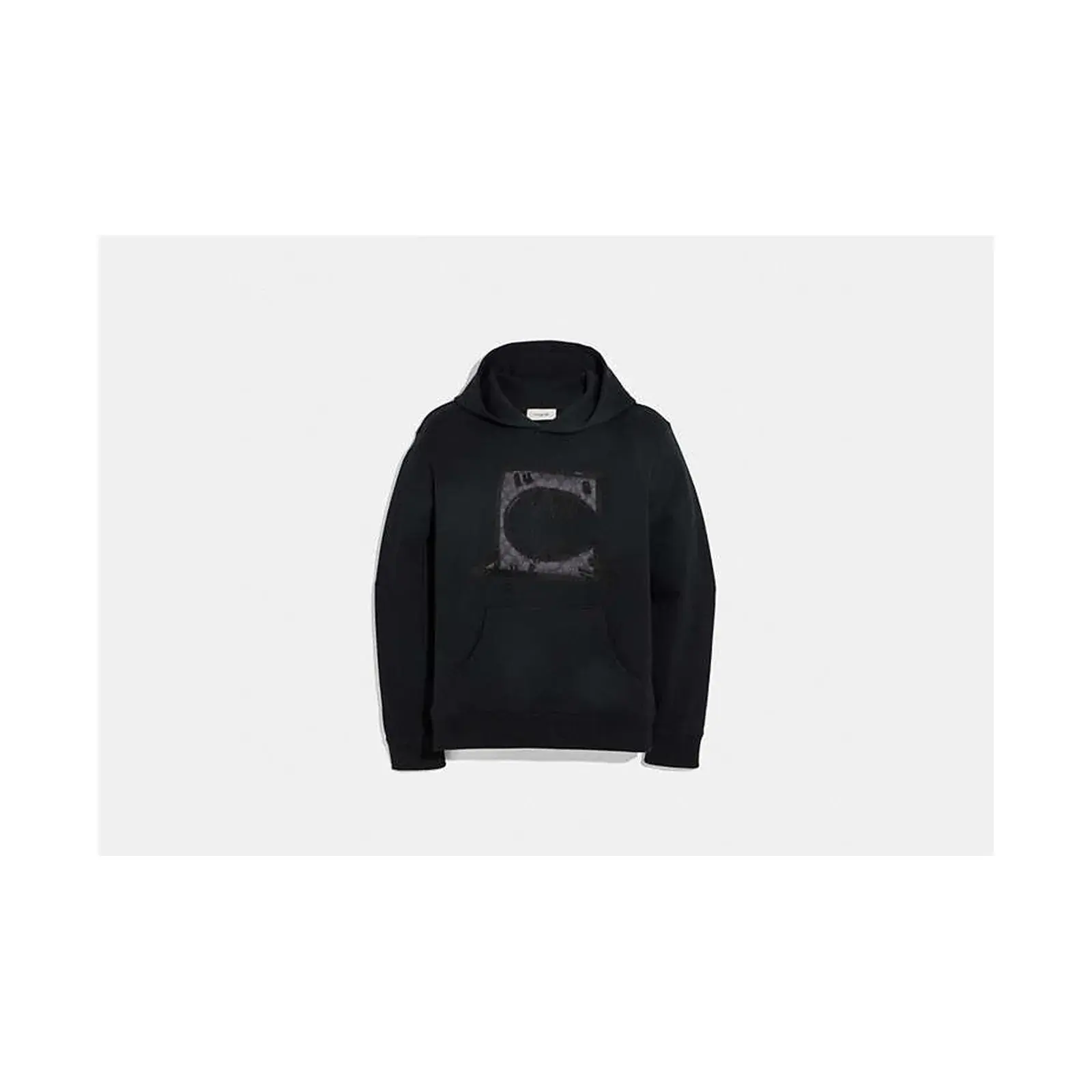 Coach Rexy By Guang Yu Hoodie